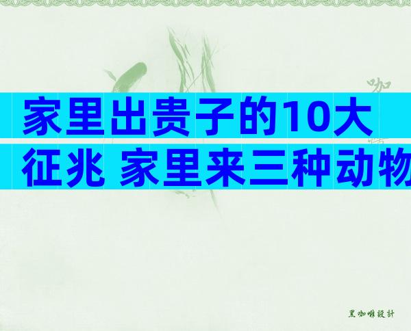家里出贵子的10大征兆 家里来三种动物出贵人